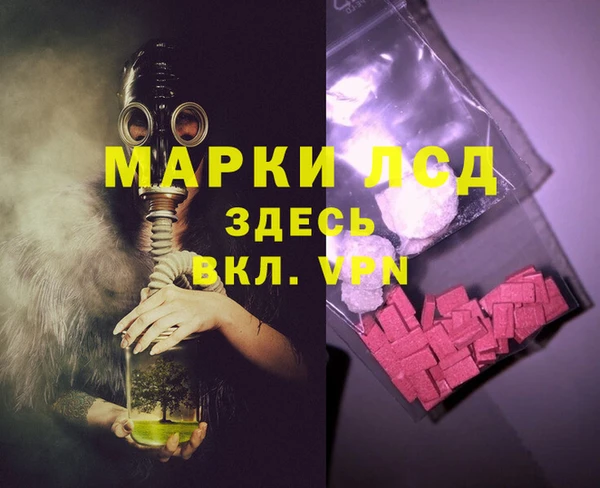 spice Верея