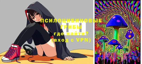 spice Верея