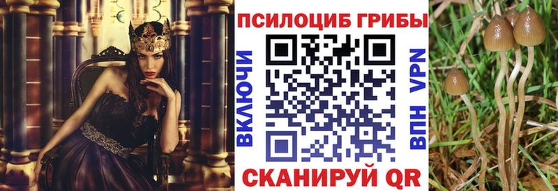 хочу   Северобайкальск  Галлюциногенные грибы ЛСД 
